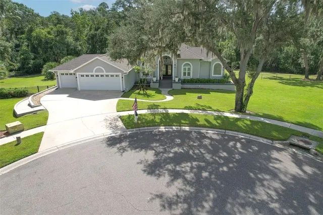 Expensive Valrico Real Estate