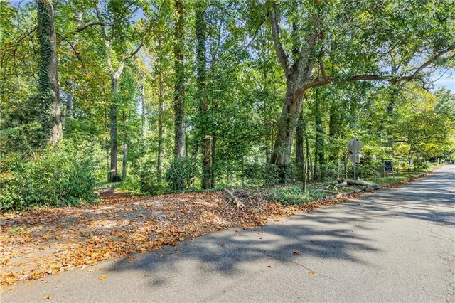 Popular DRUID HILLS Real Estate