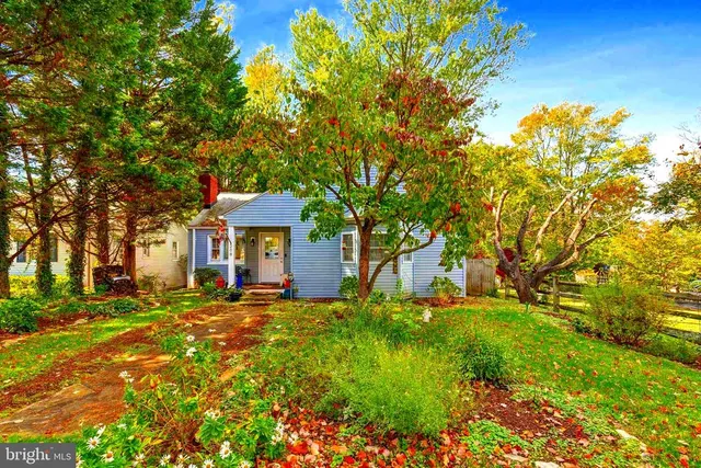 Popular Ridgeview Real Estate
