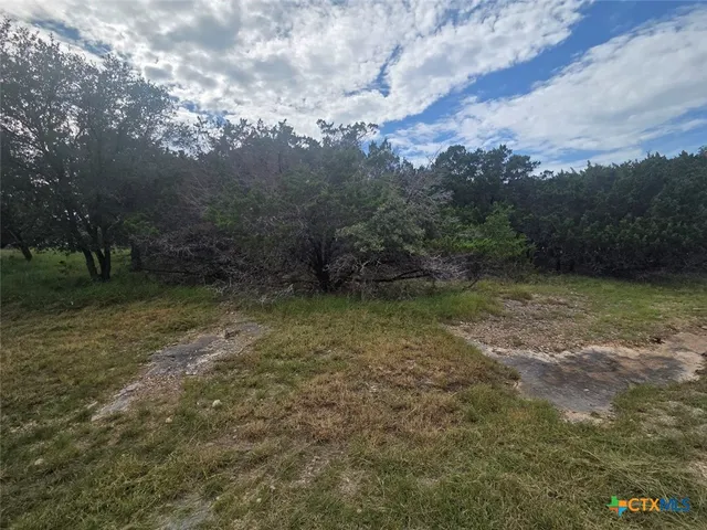 Cheap Tanglewood Real Estate