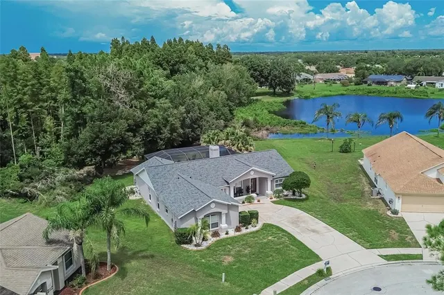 Expensive BOYETTE SPRINGS Real Estate