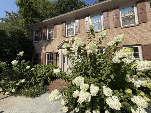 Popular Lanford Springs Real Estate