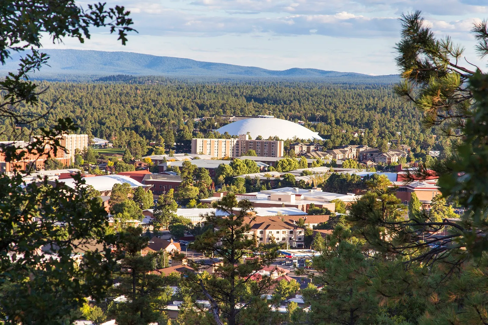 Lorraine De La Cruz | Munds Park | Flagstaff | Northern Arizona | Realty ONE Group Mountain Desert logo