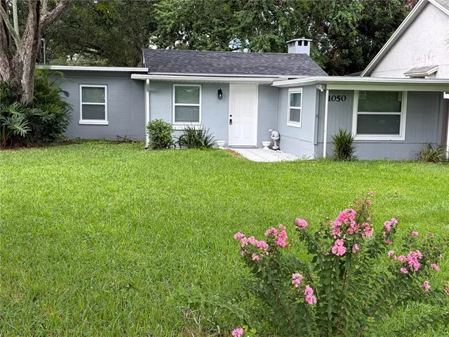 Cheap JAMAJO Real Estate