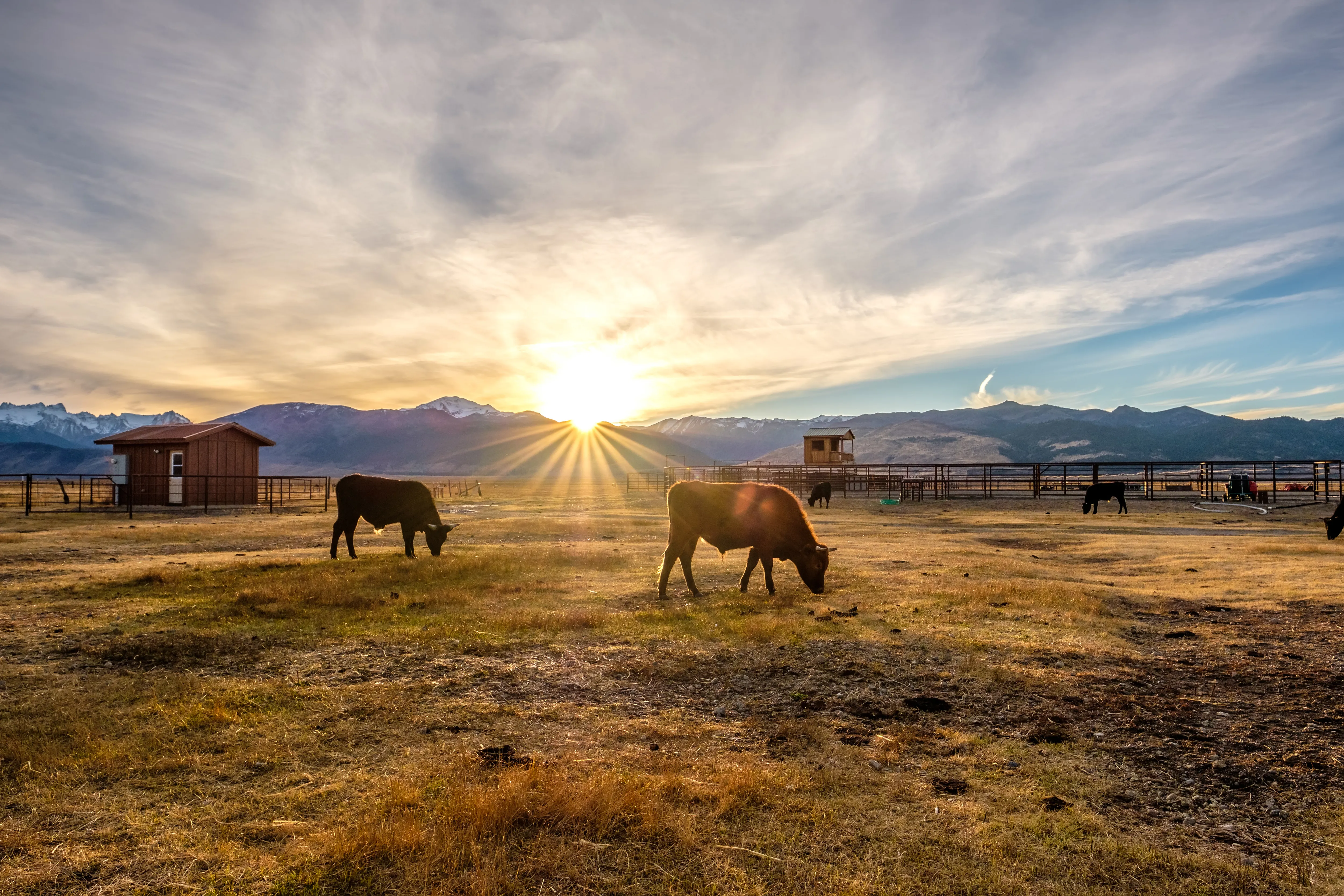 Land and Ranch Background