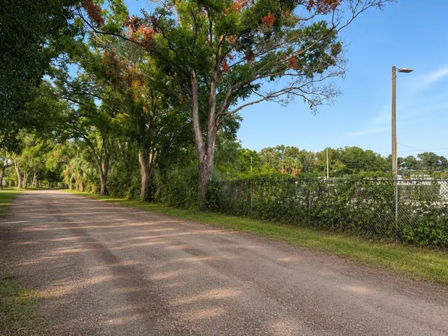 Expensive SOUTH TAMPA SUB Real Estate