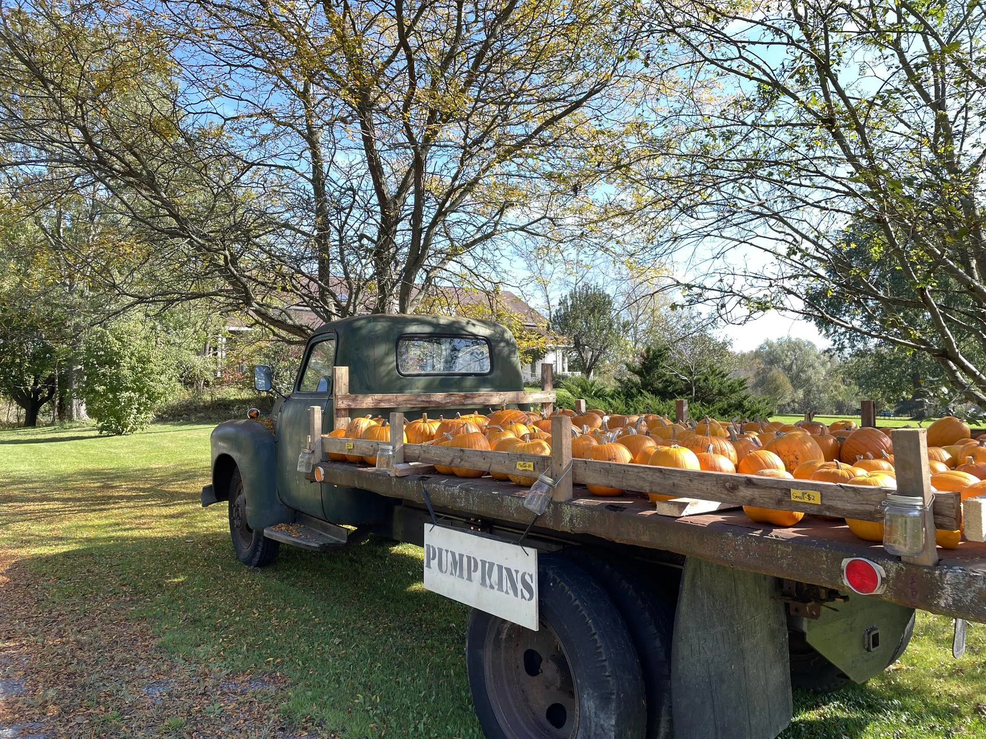pumpkin truck Mendon