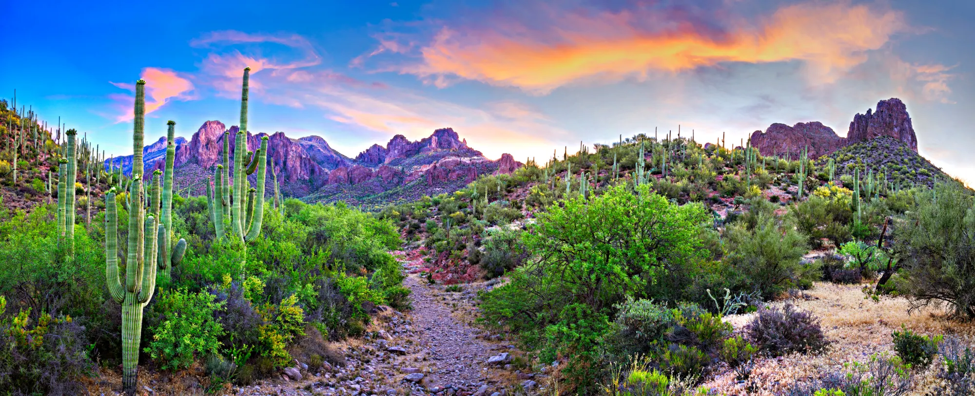 Arizona Homes for Sale