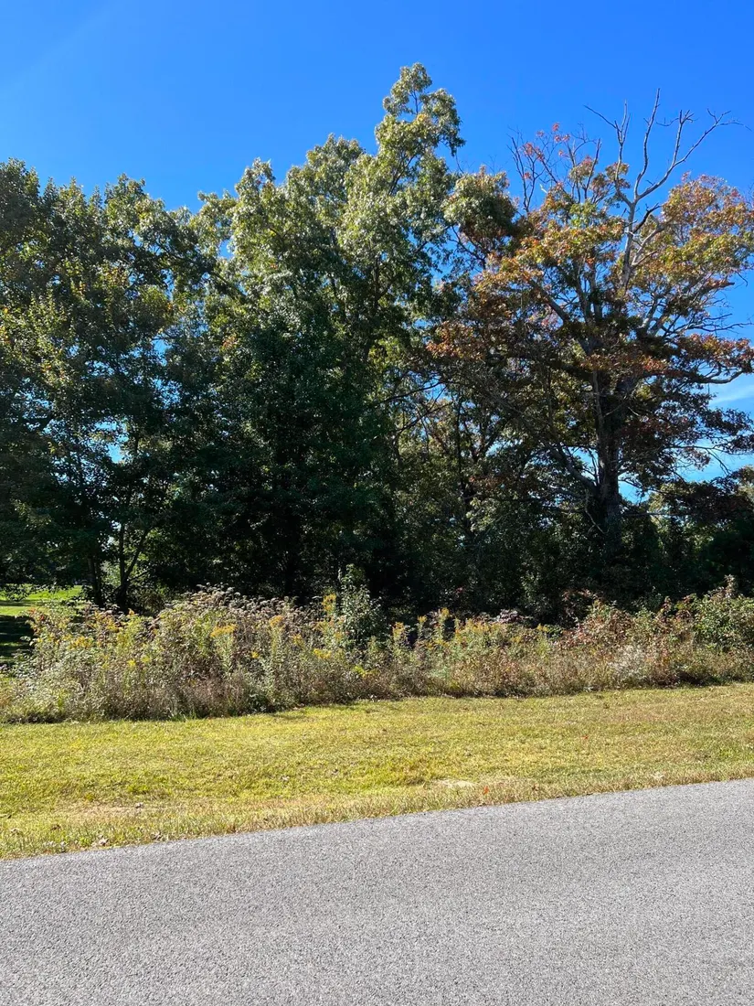 1012 Ridley Drive, Crossville, TN, 38572 - Photos, Videos \u0026 More!, image size:825x1100