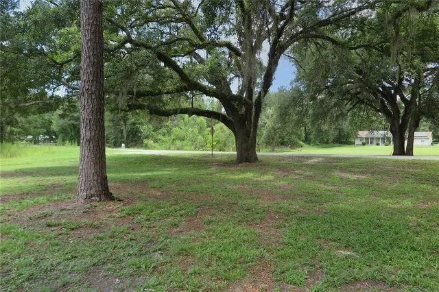 Cheap Live Oak Real Estate
