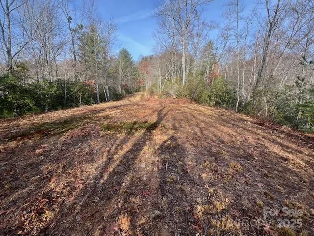 tobacco branch village almond nc Lot 2 Road, Almond, NC, 28702 State Route 1231 Tobacco Branch