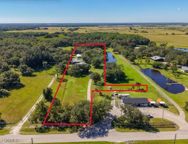 Popular MUSE Real Estate