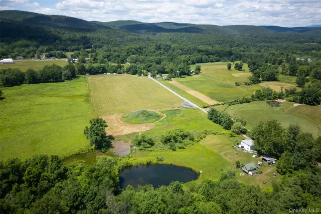 Expensive Ellenville Real Estate