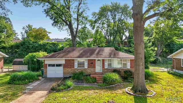Popular Bissell Hills 11 Real Estate