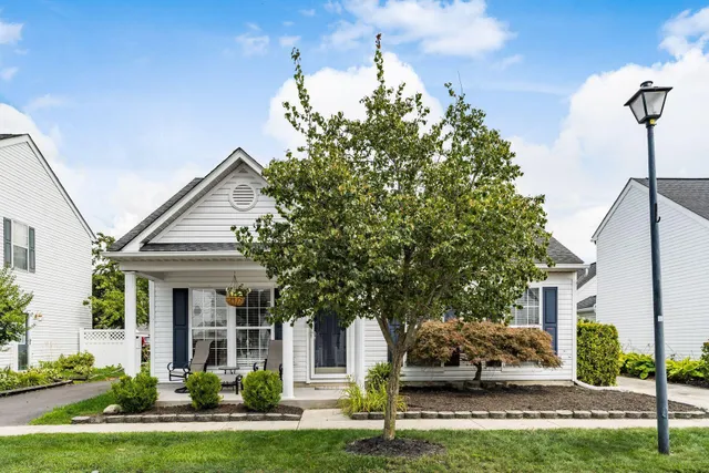 Popular Holt Park Real Estate