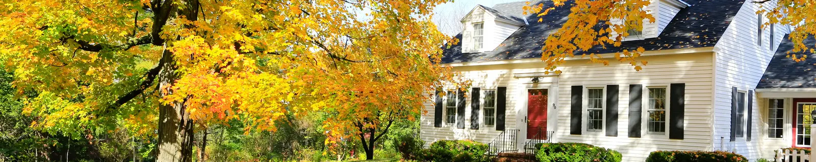 NextHome Real Estate Professionals