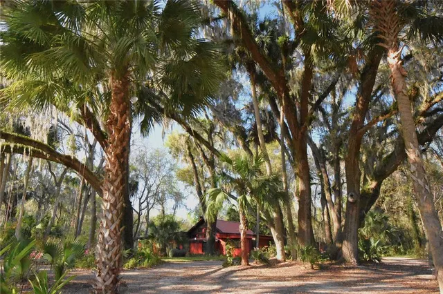 Cheap Micanopy Real Estate