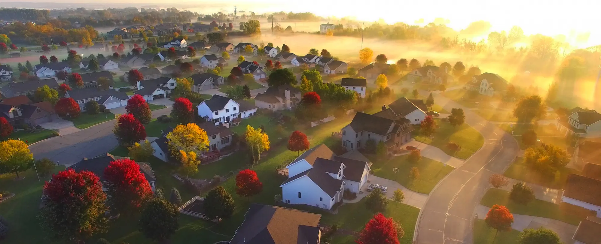 The Charlotte John Company