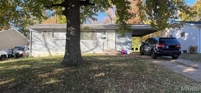 Popular Berry Meadows 4 Real Estate