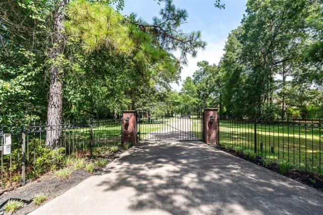 Popular Big Tree Estate 01 Real Estate