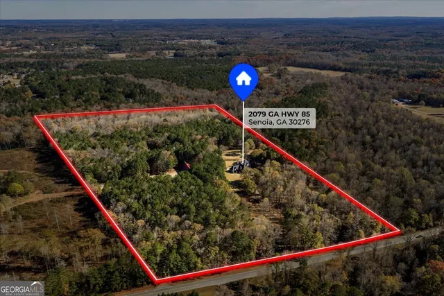 Expensive Senoia Real Estate