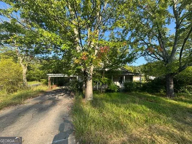 Cheap Mineral Bluff Real Estate