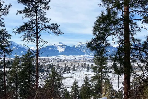 Stevensville