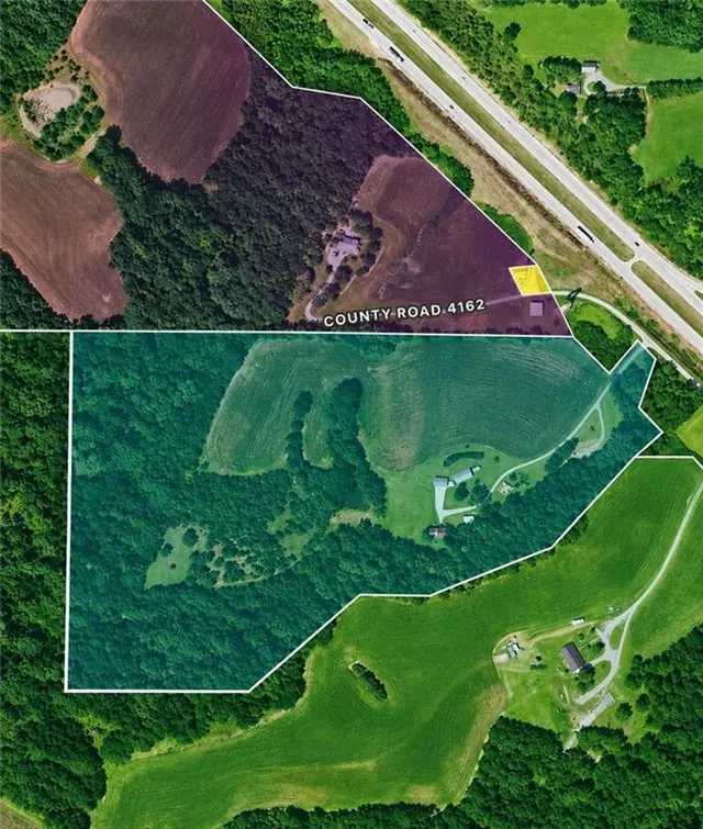 Expensive Amazonia Real Estate
