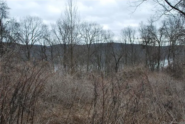 Blueberry Hill, Greenwood Lake NY 10925