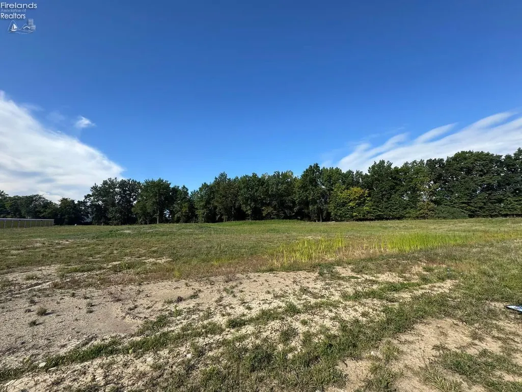818 Theo Moll Dr, Willard, OH 44890