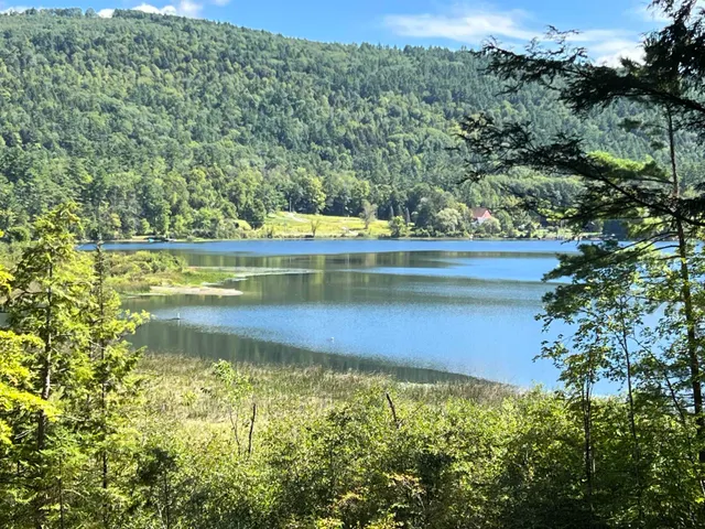 Cheap Lyme Real Estate