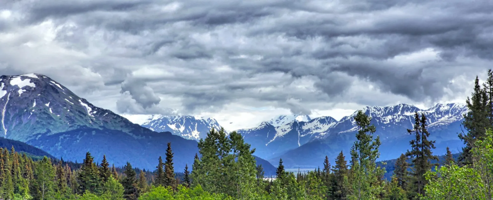 Cindy & Lyndy at Jack White Real Estate