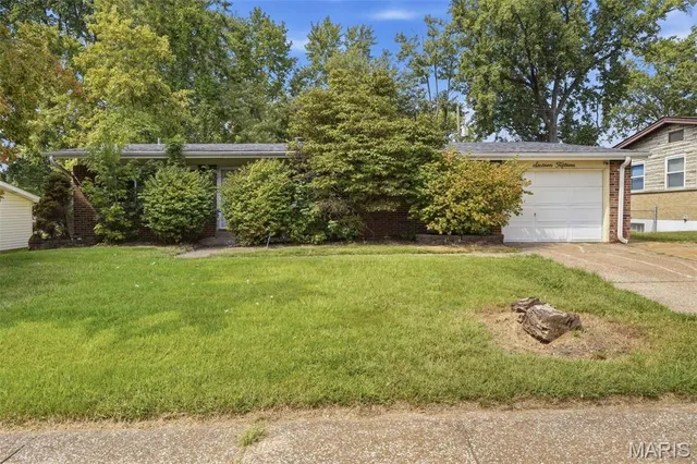 Popular Paddock Hills 8 Real Estate