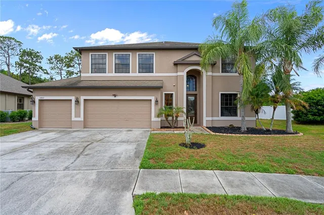 Expensive SUNCOAST LAKES Real Estate