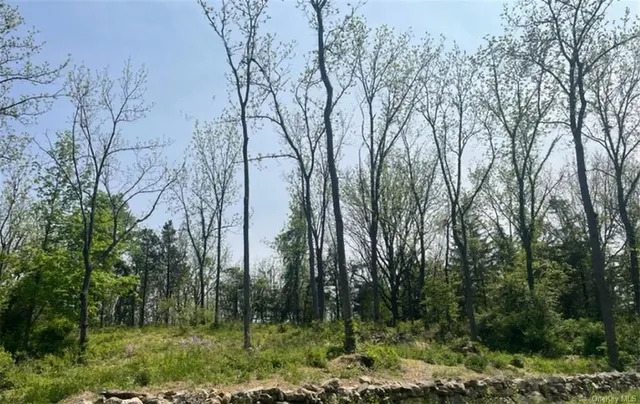 79 Ryerson Road, Warwick NY 10990
