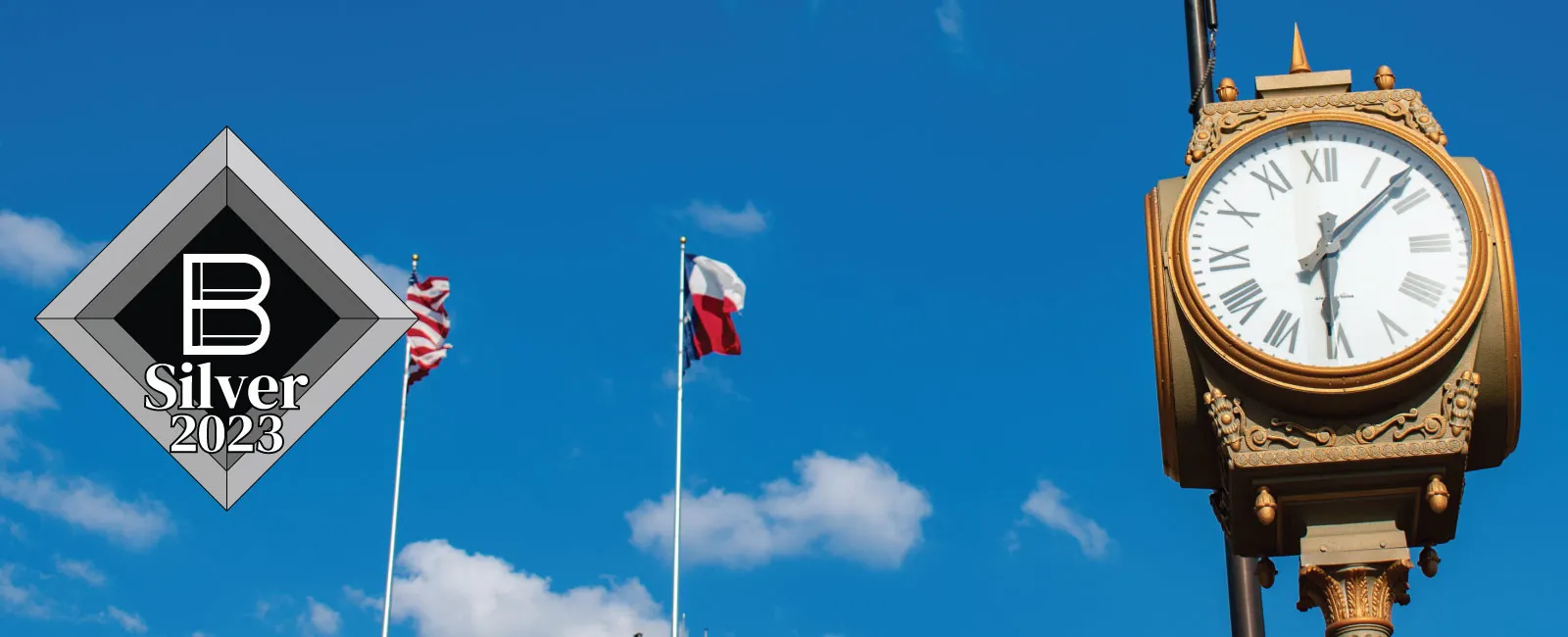 Longview TX Real Estate & Homes for Sale | BOLD Real Estate Group logo