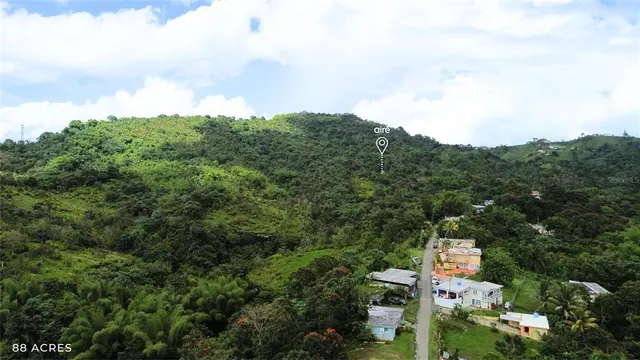 Popular San Lorenzo Real Estate