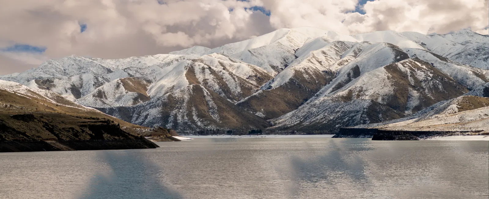 Christy DeVinaspre, Realtor Berkshire Hathaway Home Services - Silverhawk Realty