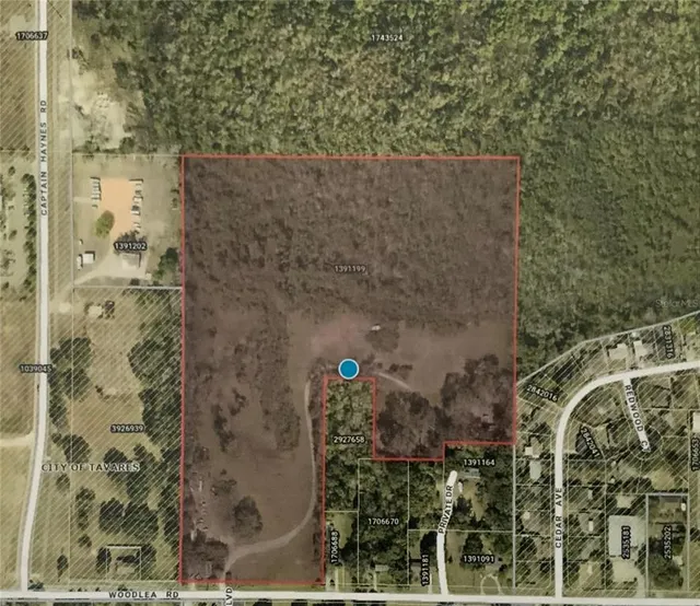 Popular Tavares Real Estate