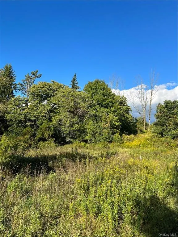 163 S Main Street, Florida NY 10921