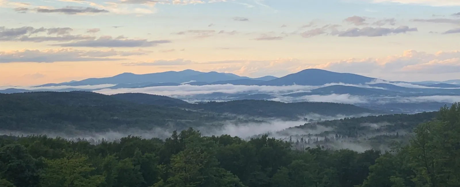 Susan Starr-Adams, Realtor®, LLC