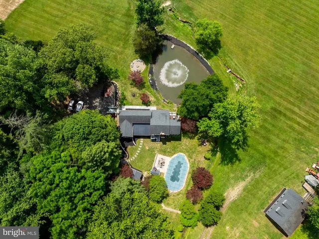 Expensive Forest Hill Real Estate