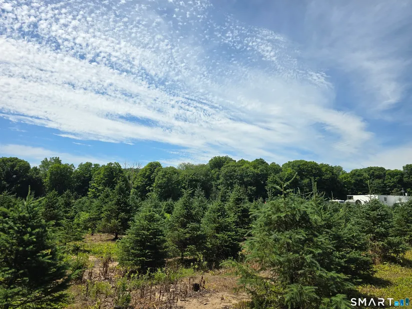 Aerial view showing the lush 17.1 acres and river frontage