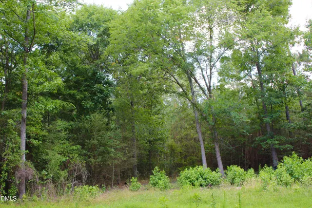 Cheap Pittsboro Real Estate