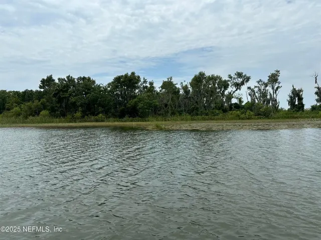 Expensive Lady Lake Real Estate